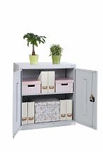 Шкаф архивный ШХА/2-850(50)